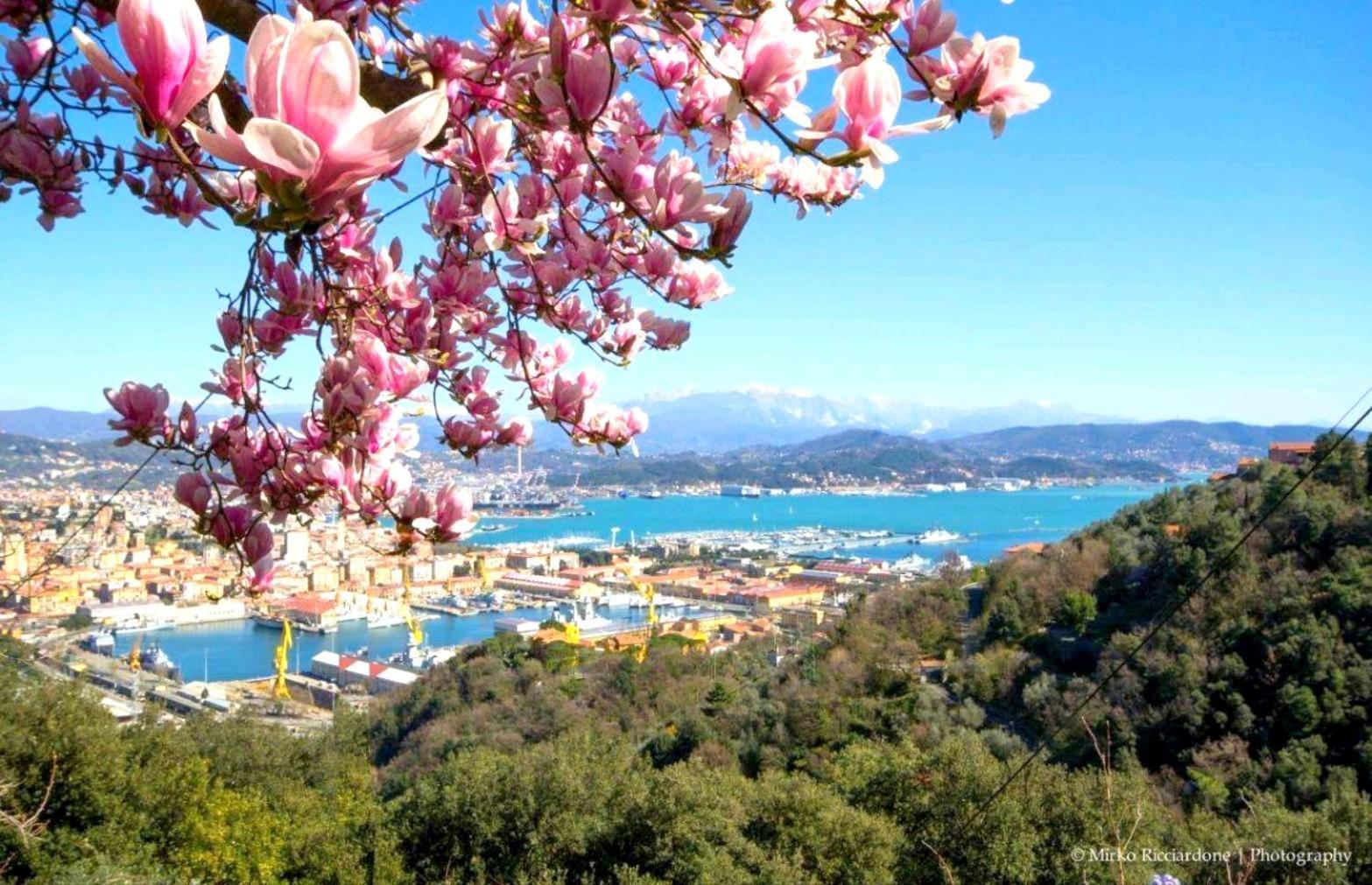 Casa Tartaruga Villa La Spezia Eksteriør bilde